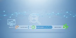 DNS Lookup tool checking live domain records and TTL during DNS propagation