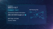 ASN lookup tool showing autonomous system routing details for an IP address
