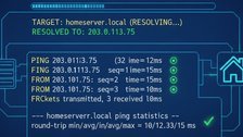 Testing whether a home server domain resolves correctly with an online ping tool